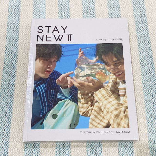 【2点セット】STAYNEWⅡ 写真集＆Bad Buddy DVD Box