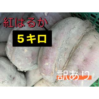 箱込み5キロ 紅はるか　さつまいも　サツマイモ　薩摩芋(野菜)