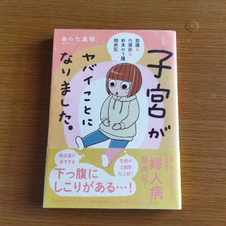 子宮がヤバイことになりました。 筋腫＆内膜症＆卵巣のう腫闘病記(文学/小説)