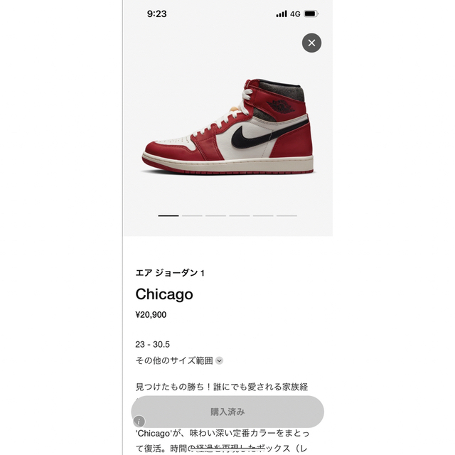 Nike Jordan 1 chicago ナイキ ジョーダン 1 シカゴ