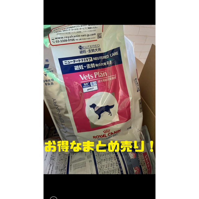 51%OFF!】 ロイヤルカナン犬用エイジングケアドライ3kg×4袋
