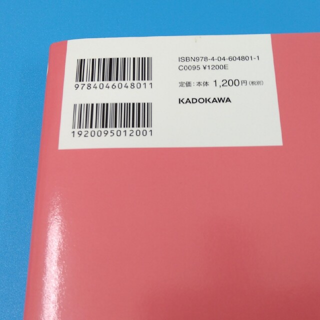 角川書店(カドカワショテン)のウチのモラハラ旦那＆義母、どーにかしてください！ 闘う嫁のサバイバル術 エンタメ/ホビーの本(住まい/暮らし/子育て)の商品写真