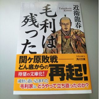 近衛龍春　毛利は残った(文学/小説)