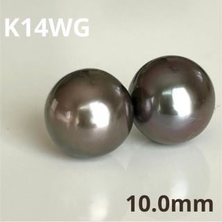 国内正規品 新品未使用 K14WG天然黒蝶真珠ピアス タヒチアンパール 本