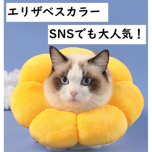 エリザベスカラー　イエロー　ポンデリング　ひまわり　猫 犬 兼用 その他のペット用品(猫)の商品写真