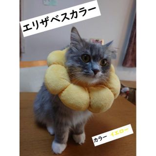 エリザベスカラー　イエロー　ポンデリング　ひまわり　猫 犬 兼用(猫)