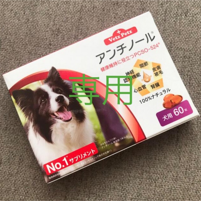 さな様専用　アンチノール その他のペット用品(犬)の商品写真