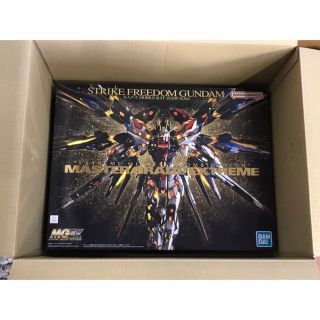 バンダイ(BANDAI)のMGEX 機動戦士ガンダムSEED DESTINY ストライクフリーダムガンダム(模型/プラモデル)