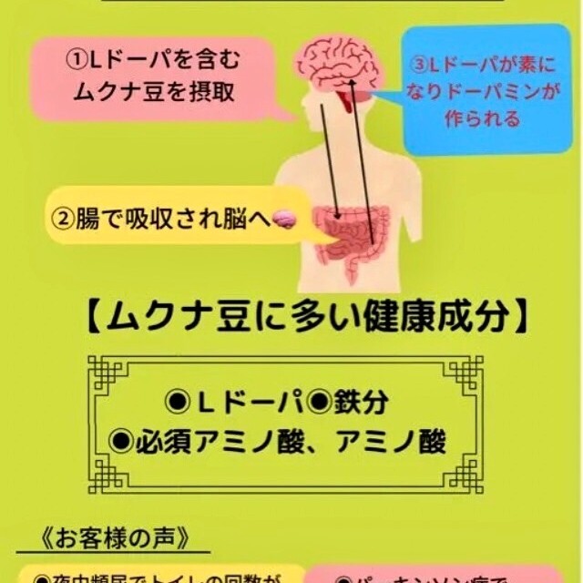 岡山県産令和3年製ムクナ豆焙煎微細パウダー100g⭕無農薬栽培 食品/飲料/酒の加工食品(豆腐/豆製品)の商品写真