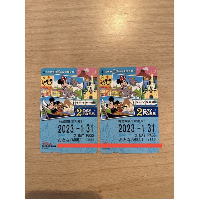 Disney(ディズニー)のディズニーリゾートライン　2DAY PASS  大人2枚 チケットの施設利用券(遊園地/テーマパーク)の商品写真