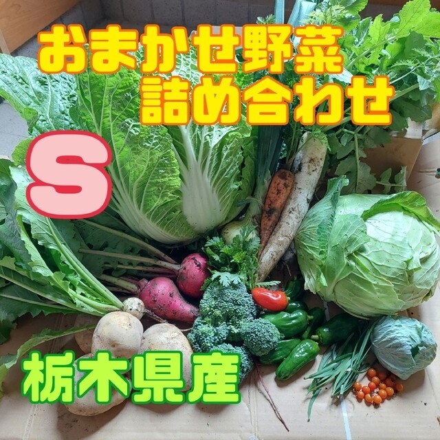 野菜おまかせ詰め合わせBOX【Ｓ】 食品/飲料/酒の食品(野菜)の商品写真