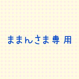 ままんさま専用(その他)