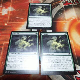 百以上出品、夏の帳、MTG