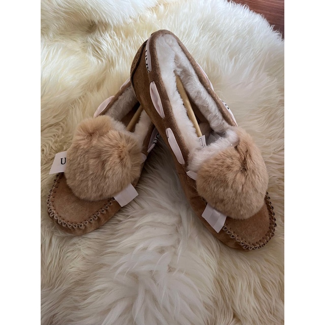オーストラリア現地で購入したUGG オーストラリア正規品 www.booknews ...