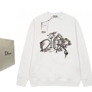 ディオール(Christian Dior) パーカー(メンズ)の通販 64点 ...