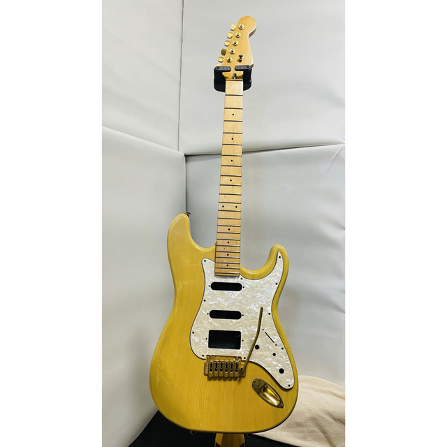 高価値 ESP ギターネック ハードケース セット drenriquejmariani.com
