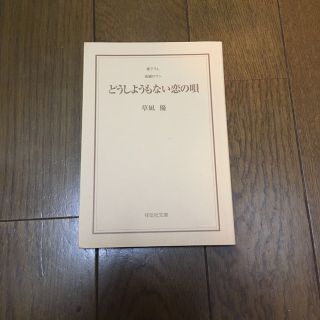 どうしようもない恋の唄(文学/小説)