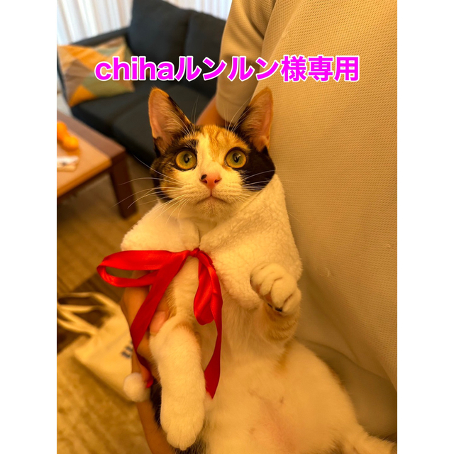 専用出品です 姉10×1 実10と5 | settannimacchineagricole.it