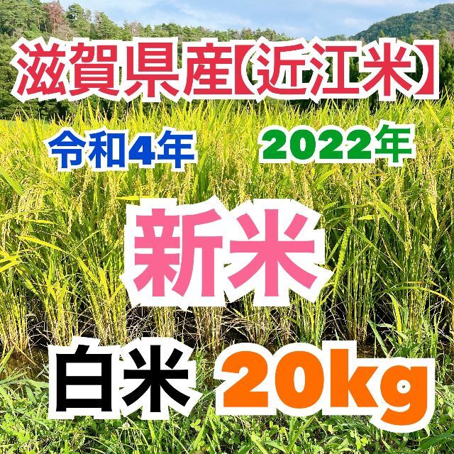 令和5年産 新米 近江米 滋賀県産 コシヒカリ100% 白米10kg 産地直送