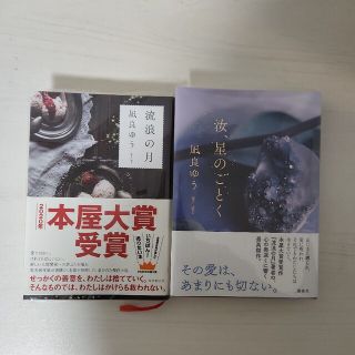 汝、星のごとく 流浪の月(文学/小説)