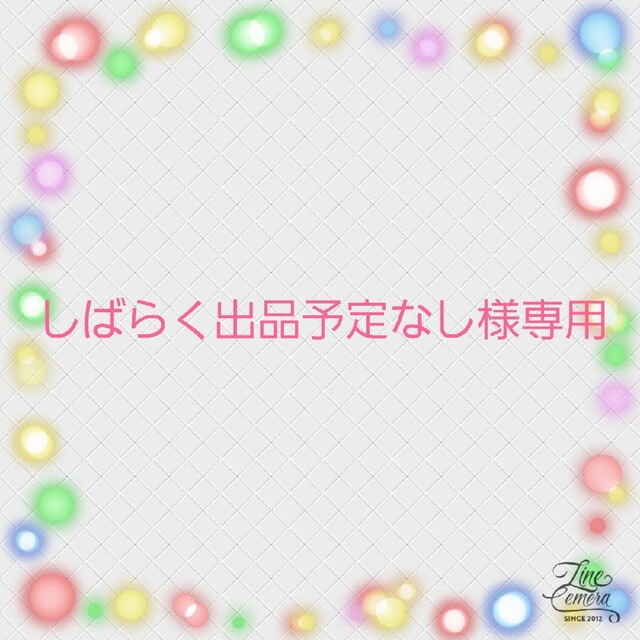 しばらく出品予定なし様専用商品 ☆彡 インテリア/住まい/日用品の日用品/生活雑貨/旅行(その他)の商品写真