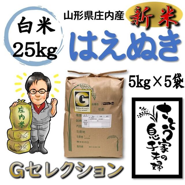 山形県庄内産　注目の　64.0%OFF　白米25kg　はえぬき　令和4年新米　Ｇセレクション