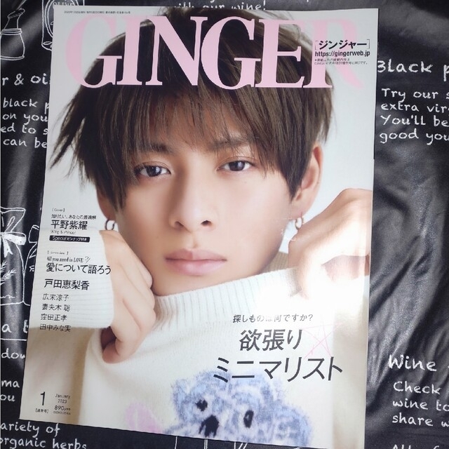 幻冬舎(ゲントウシャ)のGINGER　1月号 エンタメ/ホビーの雑誌(その他)の商品写真