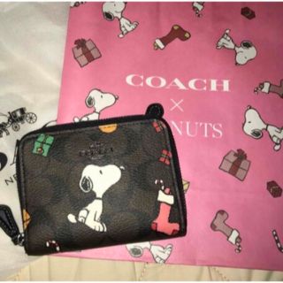 コーチ(COACH)のCOACHX PEANUTSジップ アラウンドウォレット スヌーピー ブラウン (財布)