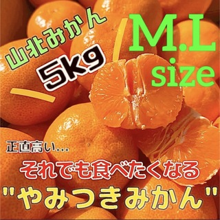 01美味し〜い山北みかんちゃん M.L.LLサイズ 家庭用(フルーツ)