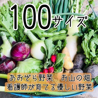 【100サイズ/常温】看護師が育てる優しい野菜詰め合わせ　採れたて野菜詰合