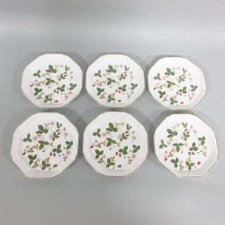 ウェッジウッド(WEDGWOOD)のWEDG WOOD(ウェッジウッド) 食器新品同様 (その他)