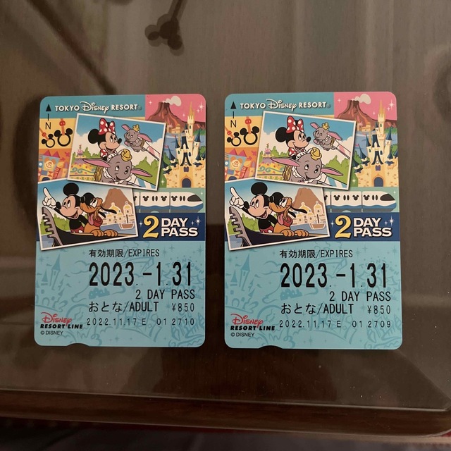 Disney(ディズニー)のディズニー リゾートライン 2day pass チケットの施設利用券(遊園地/テーマパーク)の商品写真