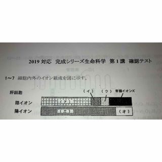 生命科学　医学部編入対策　過去問&Kals確認テスト(語学/参考書)