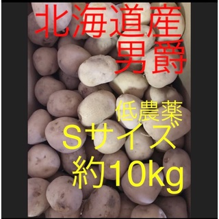 じゃがいも 北海道産 低農薬 小玉 Sサイズ 約10kg 農家直送 採れたて