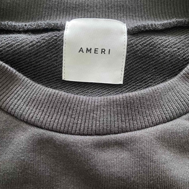 Ameri VINTAGE BACK BELT SWEAT TOP 6