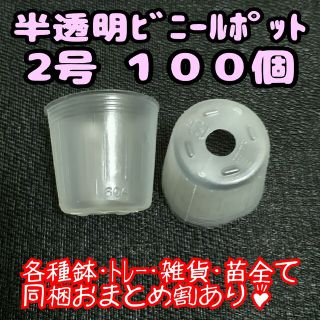 半透明ビニールポット 2号 6cm 100個 プラ鉢ポリポット多肉植物プレステラ(プランター)