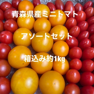 青森県産ミニトマトアソートセット　箱込み約1kg(野菜)