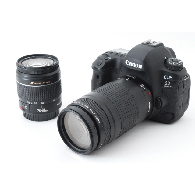 お試し価格！】 Canon - IIレンズセット mark 6D EOS ☆Canon キャノン ...