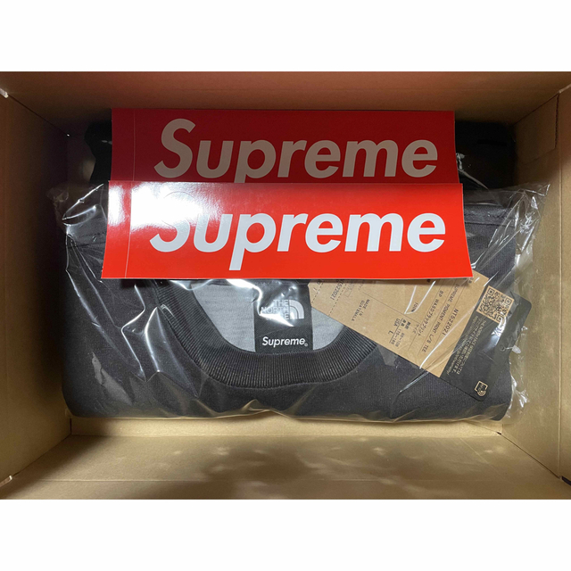 付属品完備 L supreme x the north face