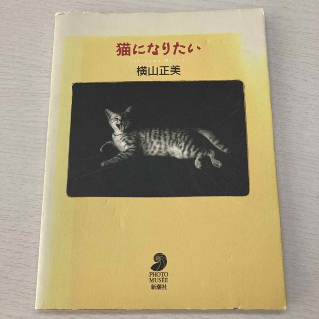 猫になりたい エンタメ/ホビーの本(その他)の商品写真