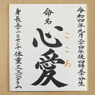 【命名書】色紙（楷書）(命名紙)