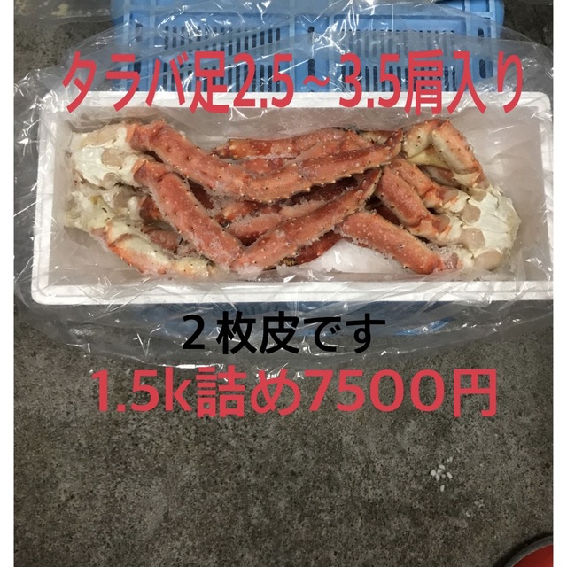 イデオン様専用 31日午前中 高品質な検査 食品/飲料/酒 | bca.edu.gr