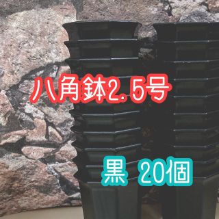 八角鉢  ◎2.5号◎黒 20個プラ鉢 アガベ 多肉植物(プランター)