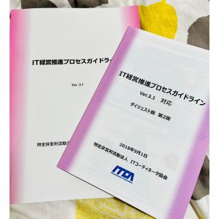 IT経営推進プロセスガイドライン　ver3.1(資格/検定)