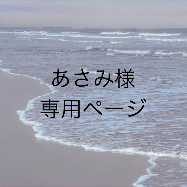あさみ様専用ページ エンタメ/ホビーのタレントグッズ(アイドルグッズ)の商品写真