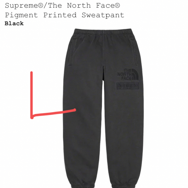 パンツSupreme The North Face Pigment Sweatpant