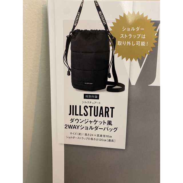 JILLSTUART(ジルスチュアート)の大人ミューズ付録1月号 レディースのバッグ(ショルダーバッグ)の商品写真