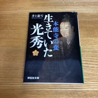 本能寺の変生きていた光秀(その他)