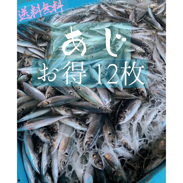 超お得！アジの開き１２枚！送料無料☺︎ 食品/飲料/酒の食品(魚介)の商品写真