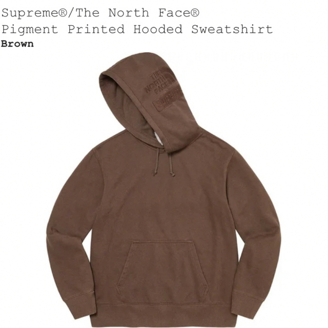 Supreme/North Face Pigment Printed Hood